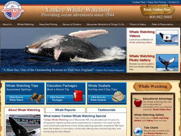 www.yankeewhalewatching.com