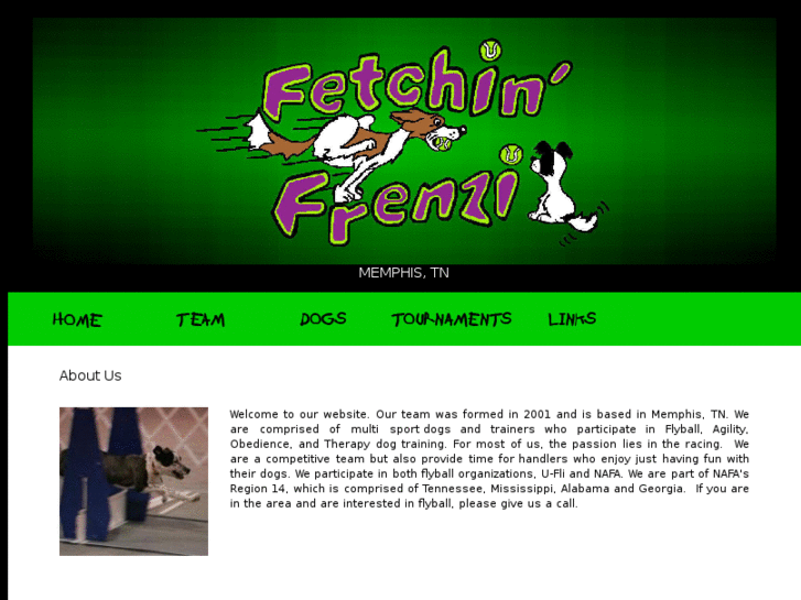 www.fetchinfrenzi.org