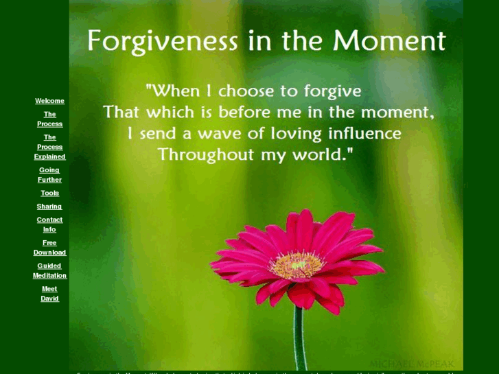 www.forgivenessinthemoment.com