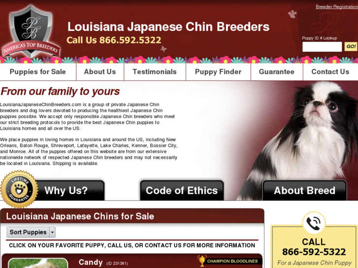 www.louisianajapanesechinbreeders.com