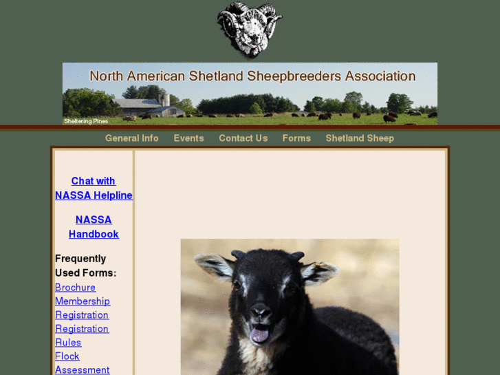 www.shetland-sheep.org