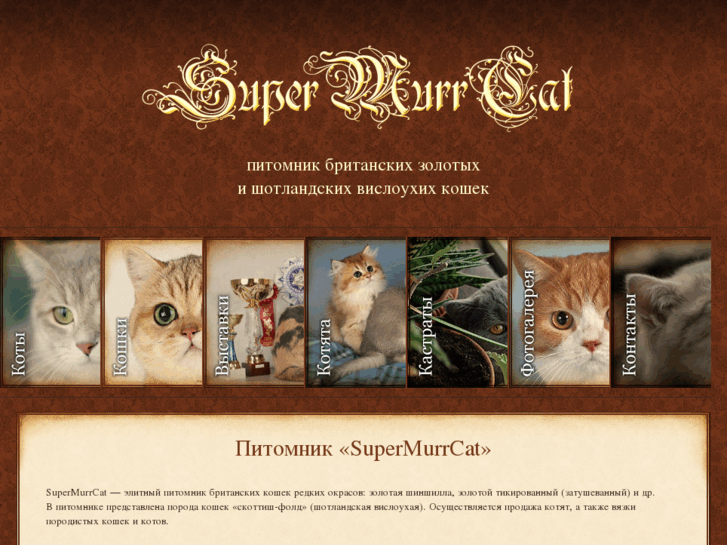 www.supermurrcat.com