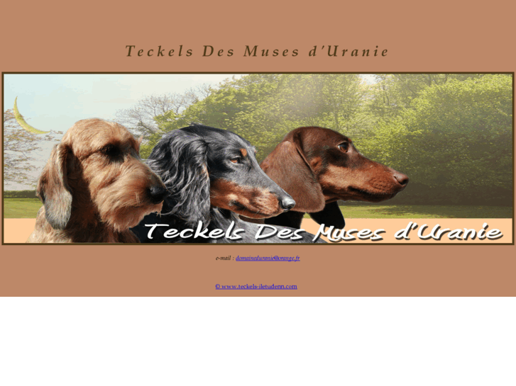www.teckel-duranie.com