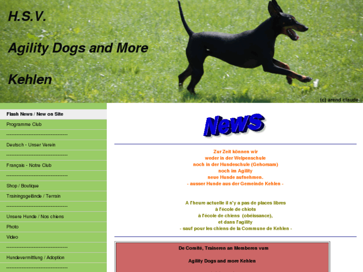 www.agilitydogsandmorekehlen.com