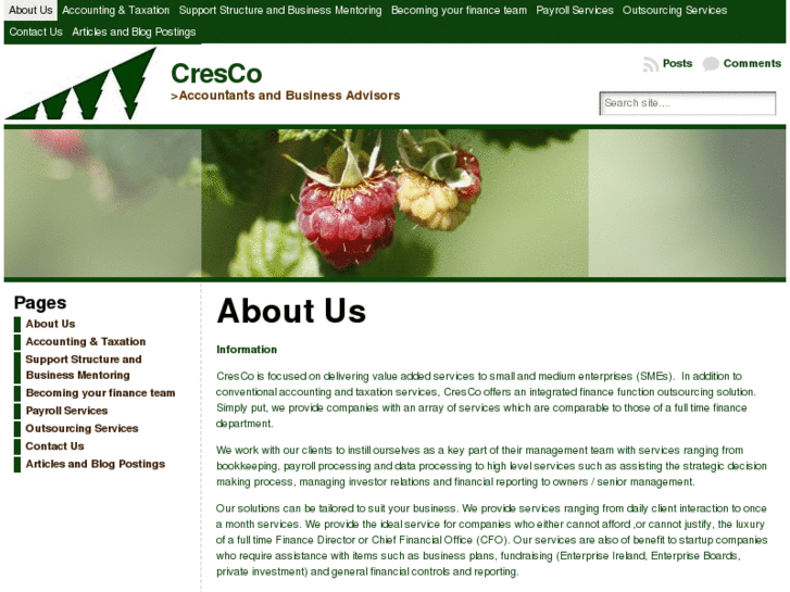 www.crescoireland.com