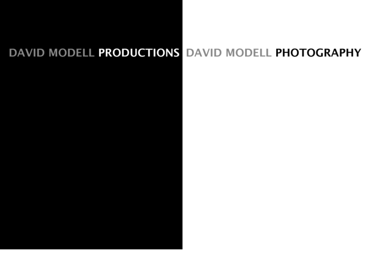 www.davidmodell.com