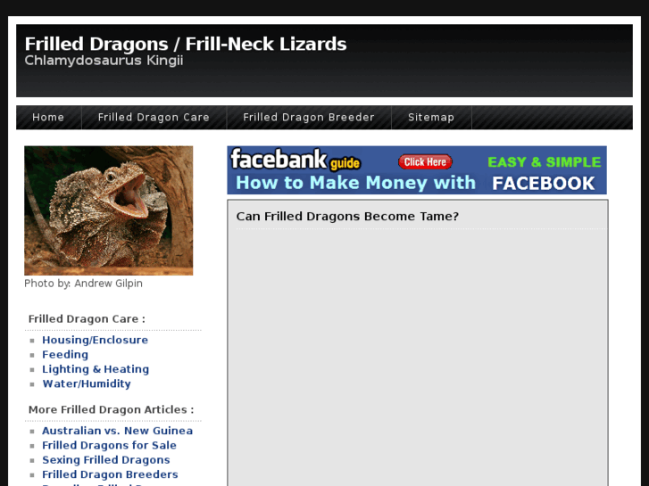 www.frilled-dragon.com