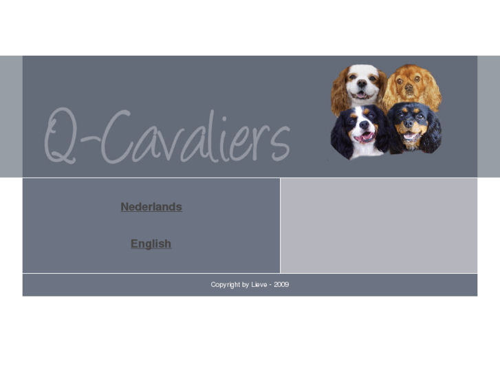 www.q-cavaliers.com