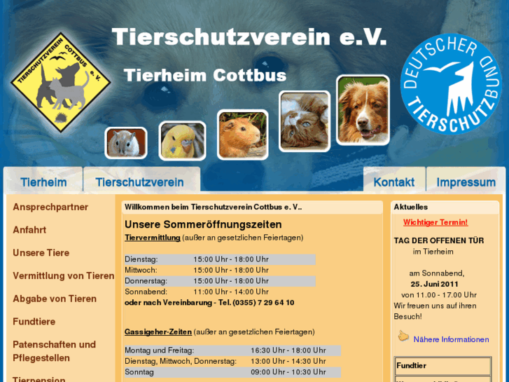 www.tierheim-cottbus.de