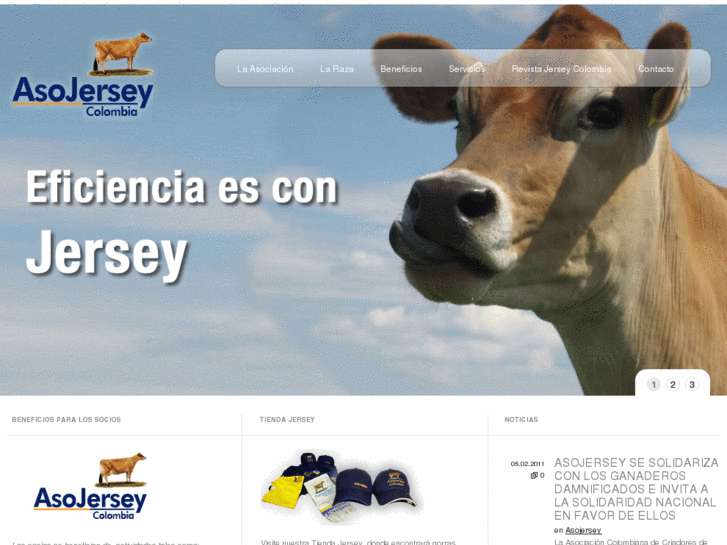 www.asojersey.com