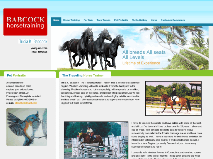 www.babcockhorsetrainingllc.com