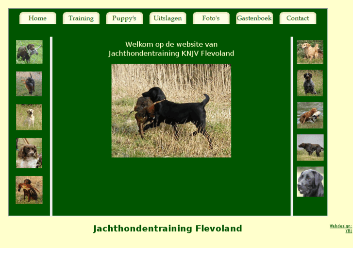 www.jachthonden-flevoland.nl