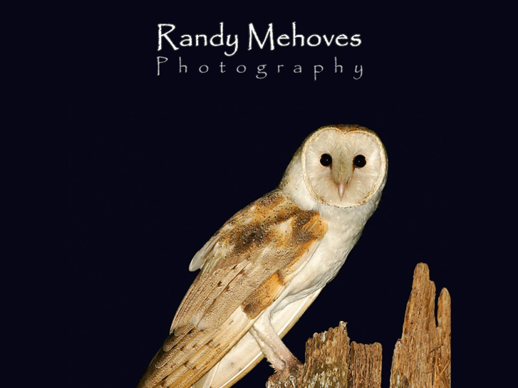 www.randymehovesphotography.com