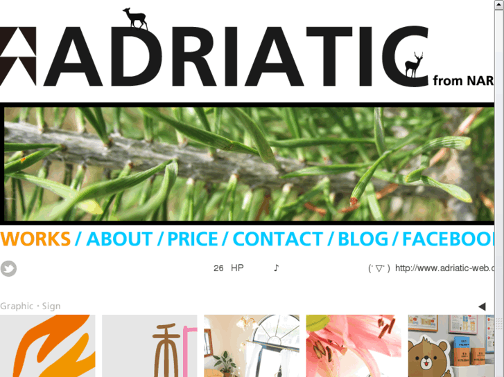 www.adriatic-web.com