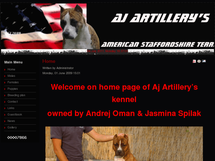 www.artillery-amstaff.com