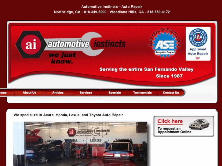 www.automotiveinstincts.com