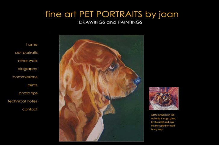 www.joanespinosa.com