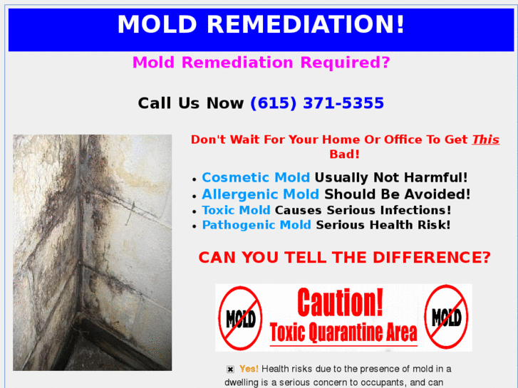 www.moldrediation.com