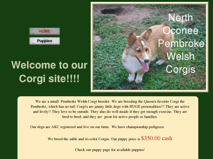 www.northoconeewelshcorgis.com