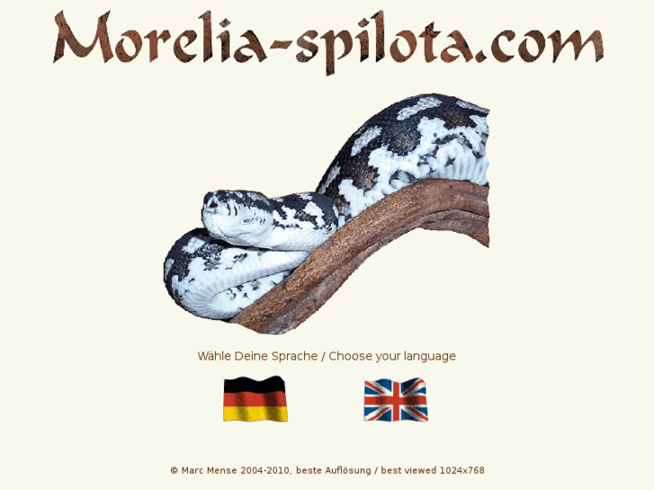 www.carpet-python.com