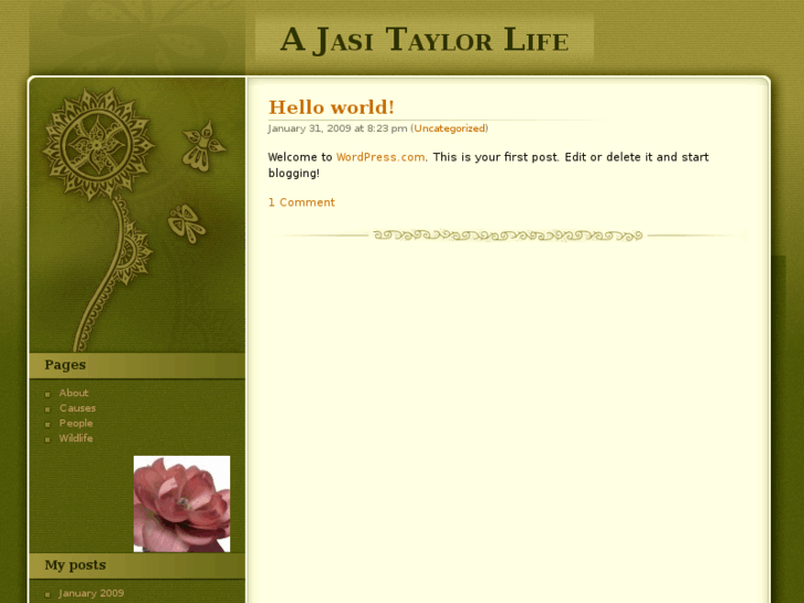 www.jasitaylor.com