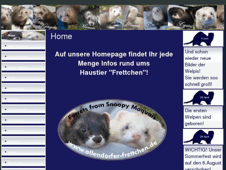 www.allendorfer-frettchen.de