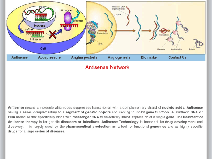 www.antisense.net