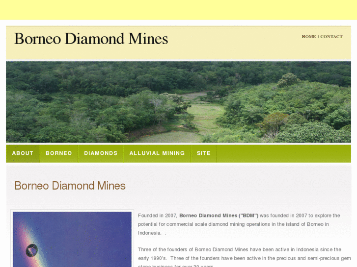 www.borneodiamondmines.com