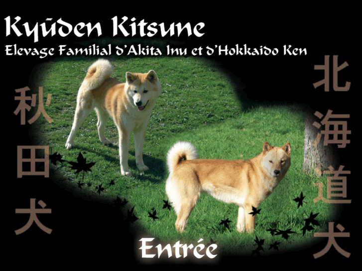 www.kyuden-kitsune.com