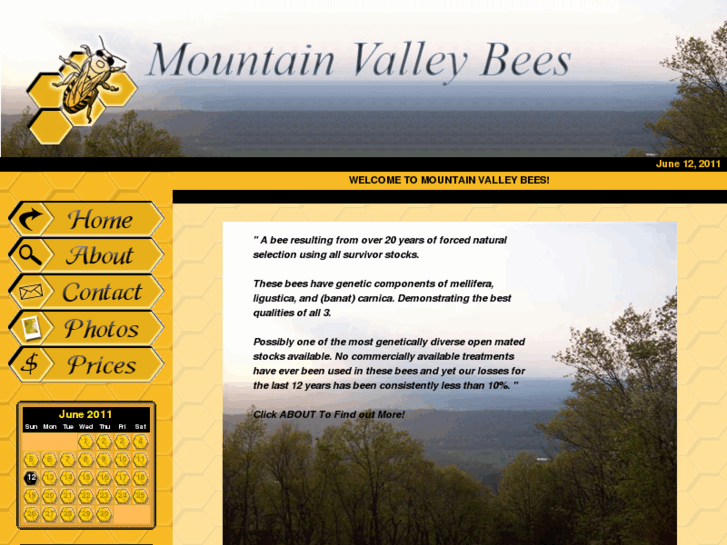 www.mountainvalleybees.com