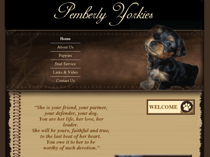 www.pemberlyyorkies.com