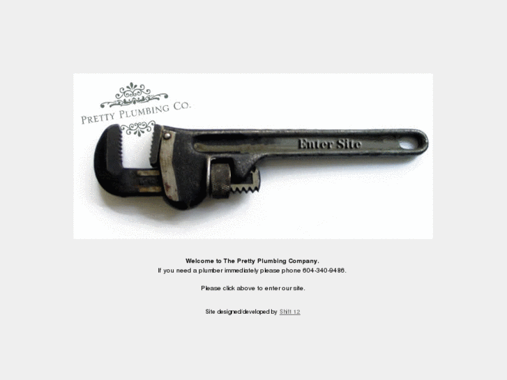 www.prettyplumbing.com
