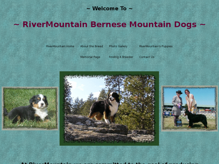 www.rivermountainbernese.com