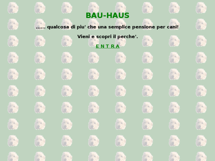 www.bau-haus.net