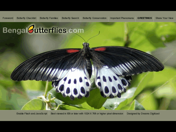 www.bengalbutterflies.com