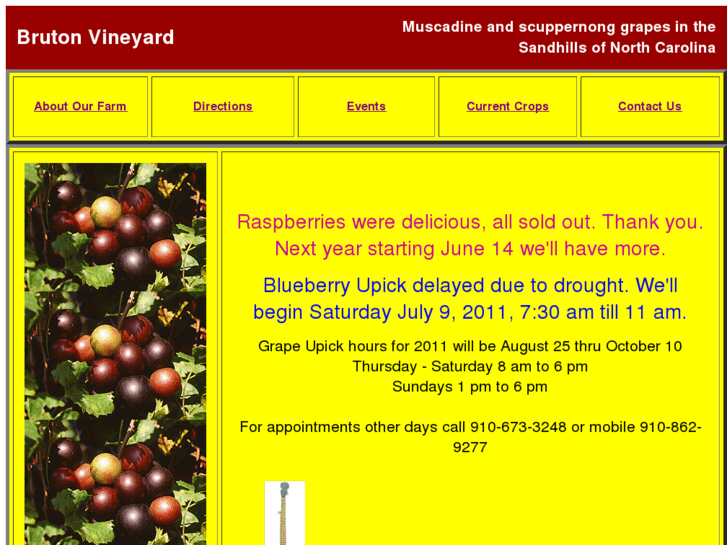 www.brutonvineyard.com