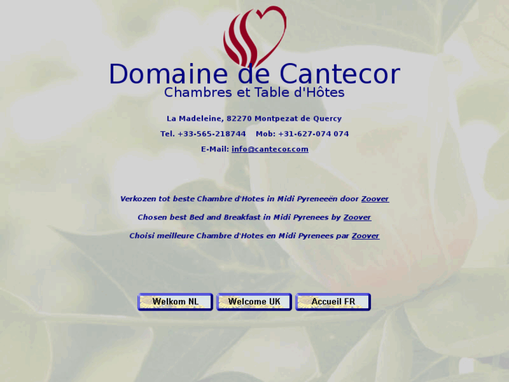 www.cantecor.com