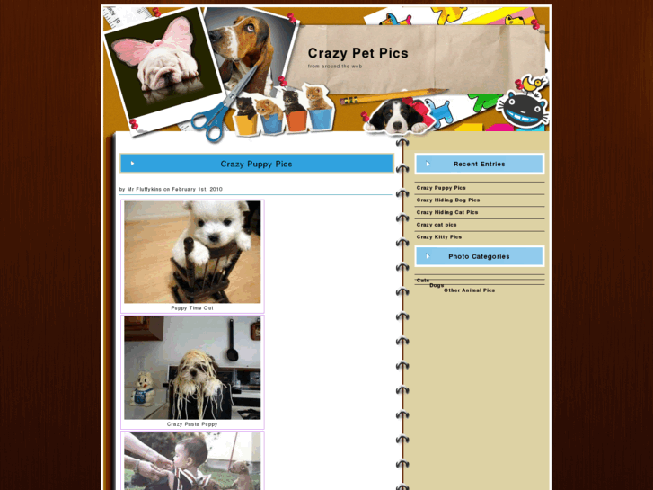 www.crazypetpics.com