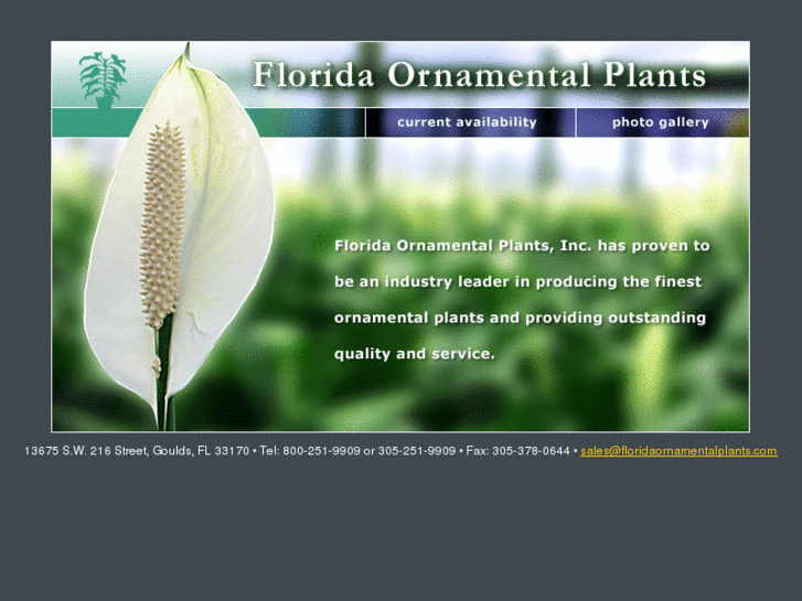 www.floridaornamentalplants.com