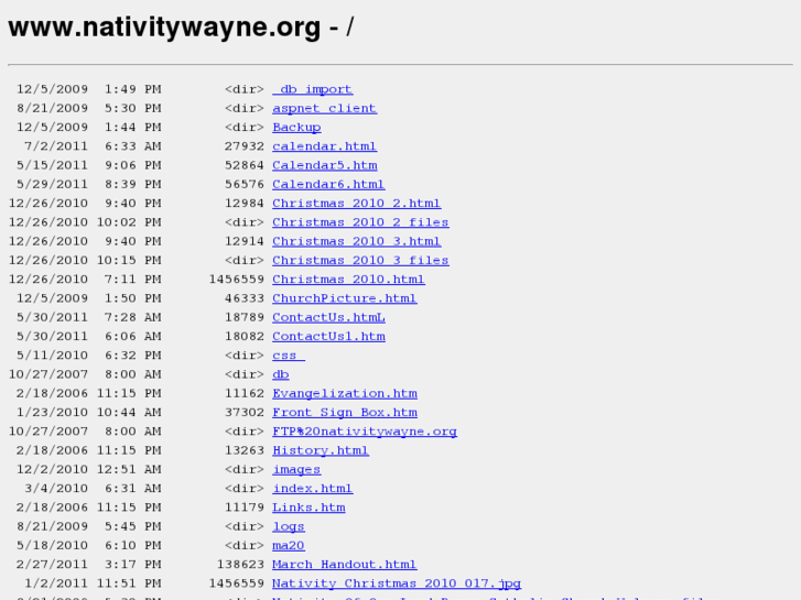 www.nativitywayne.org