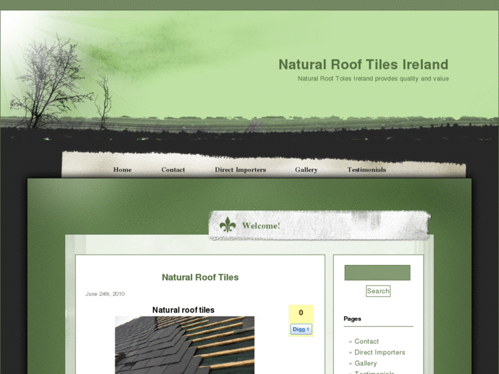 www.naturalrooftilesireland.com