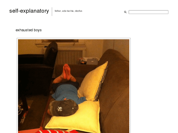 www.selfexplanatory.net
