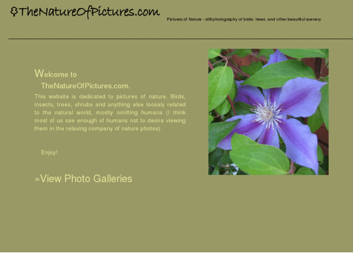 www.thenatureofpictures.com