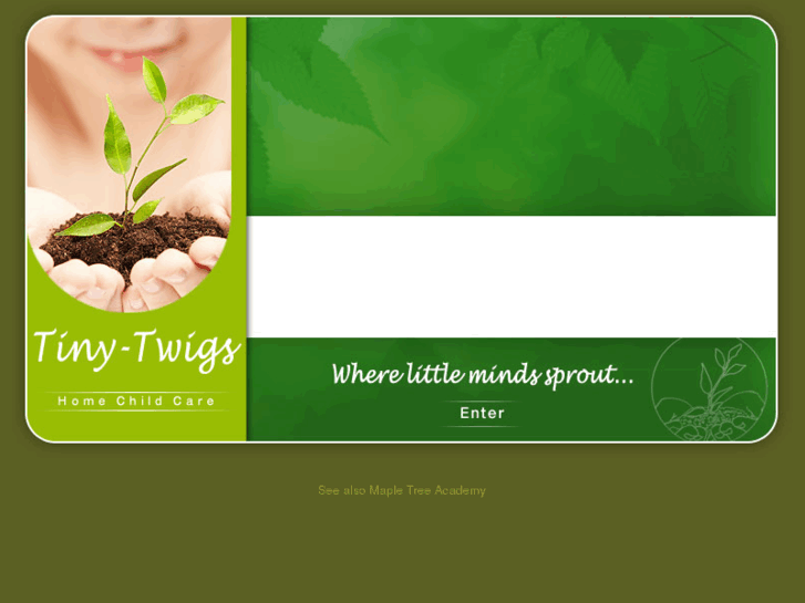 www.tiny-twigs.com