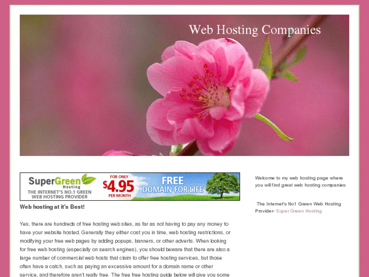www.topwebhostingcomparison.info