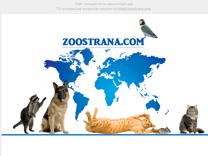 www.zoostrana.com