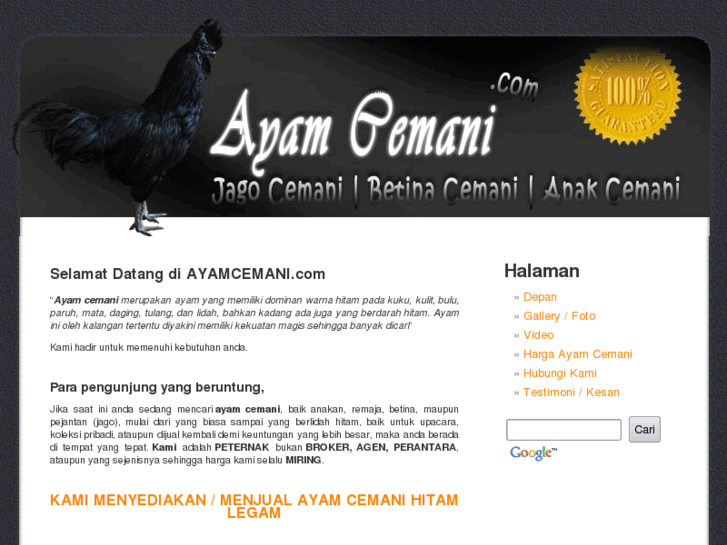 www.ayamcemani.com