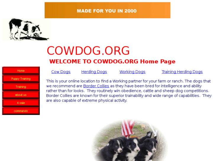 www.cowdog.org