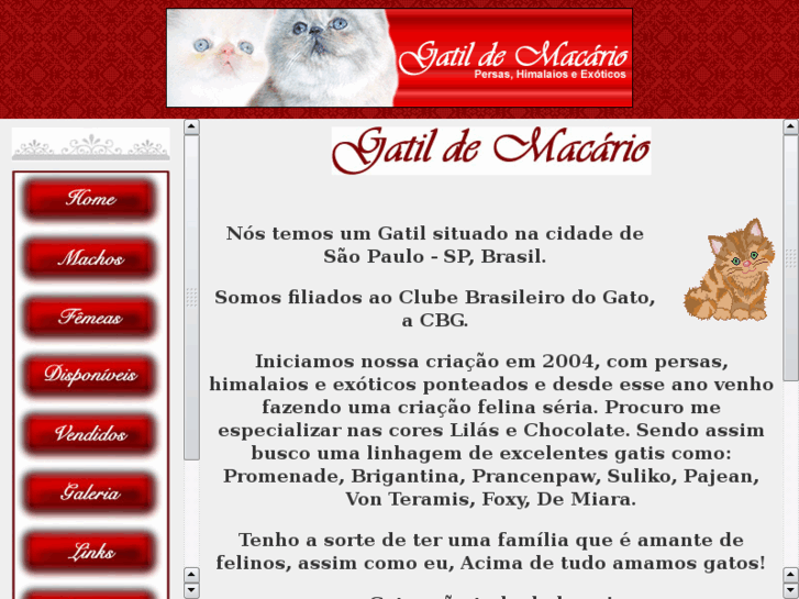 www.gatildemacario.com