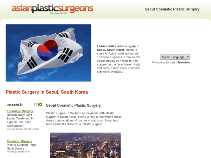 www.plasticsurgeryseoul.com